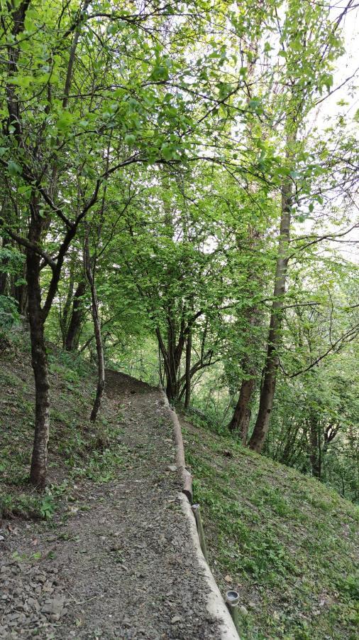 La Casetta Di Musita Brembilla Kültér fotó